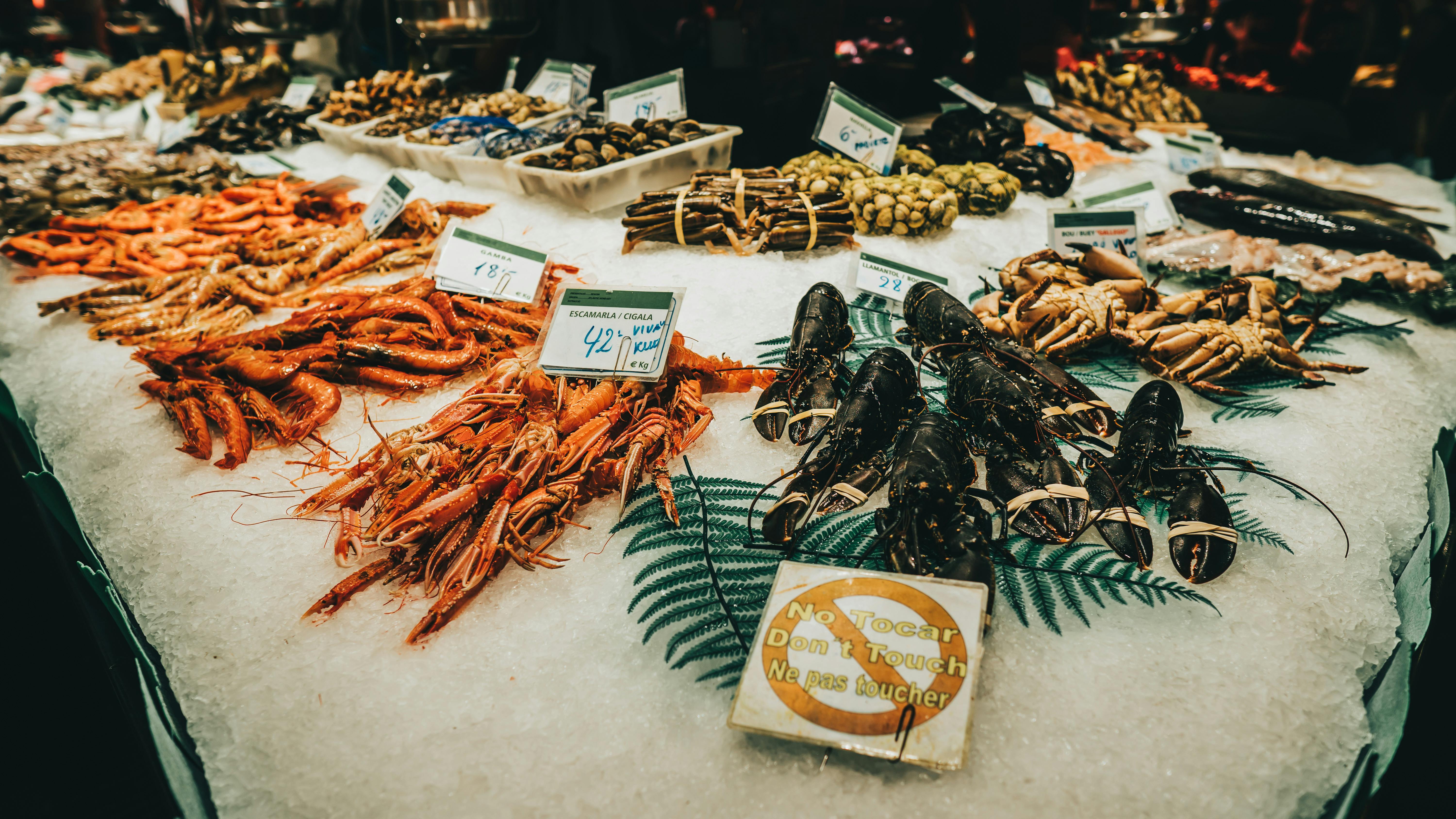 Essential Guide to Nano Fish for Sale in 2025 - Discover Top Varieties!