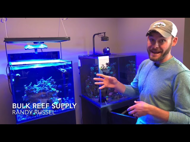 Bulk Reef Supply Options