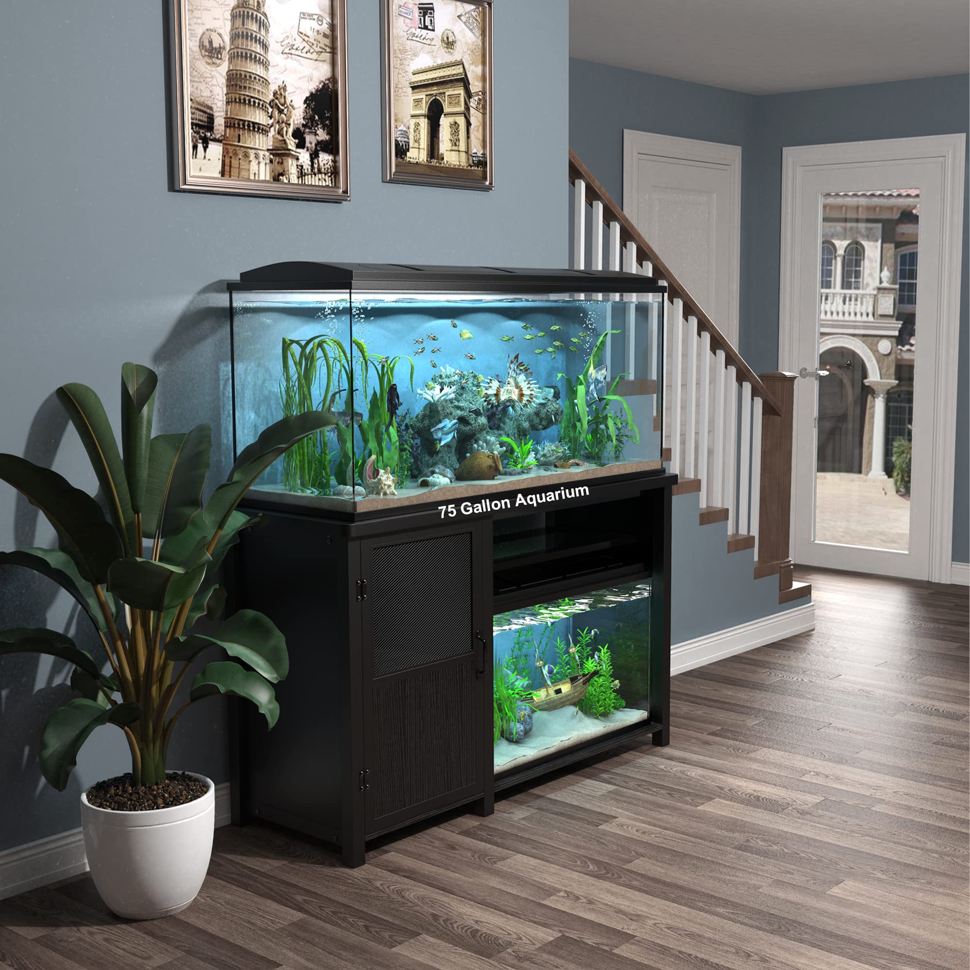 Aquarium Setup