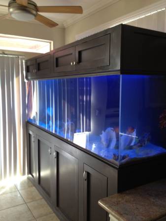 Setup of a 300 Gallon Fish Tank