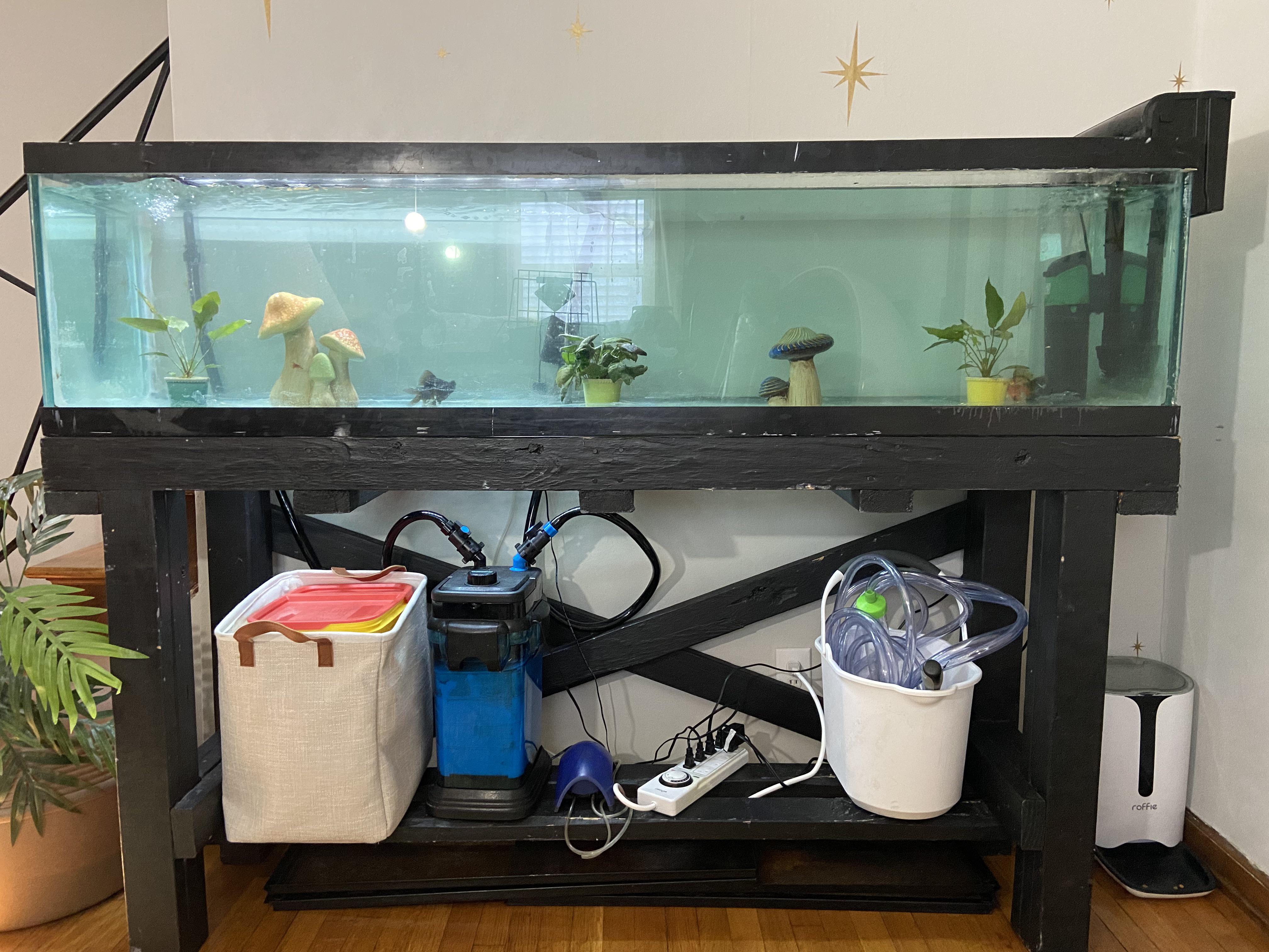 100 Gallon Aquarium